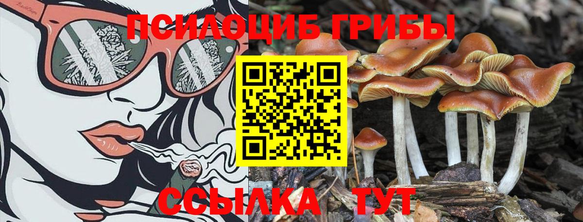 Галлюциногенные грибы GOLDEN TEACHER  Галлюциногенные грибы мухоморы  Нефтекамск  Вход с VPN 