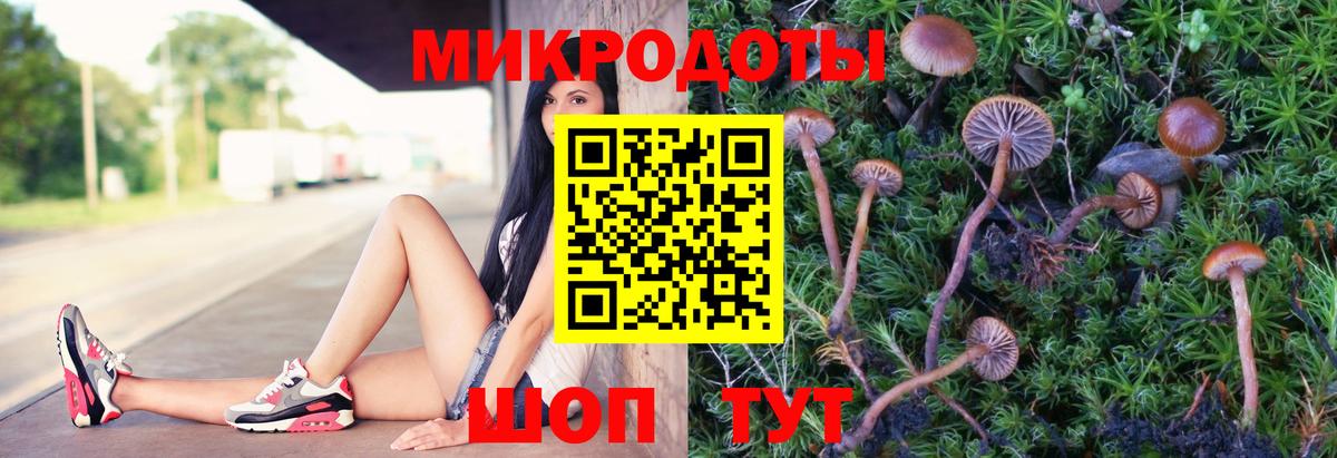 Псилоцибиновые грибы мухоморы Нефтекамск